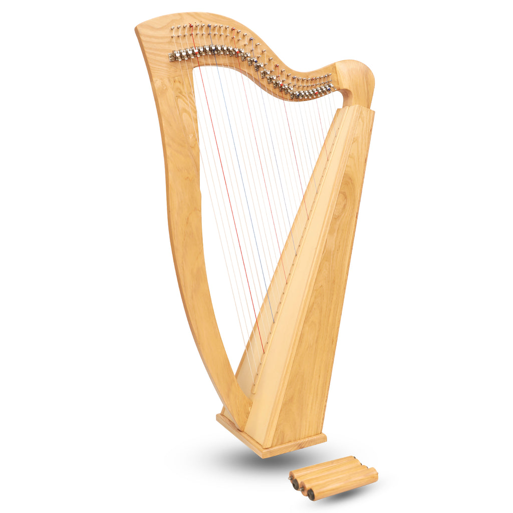 29 String McHugh Harp Square Back