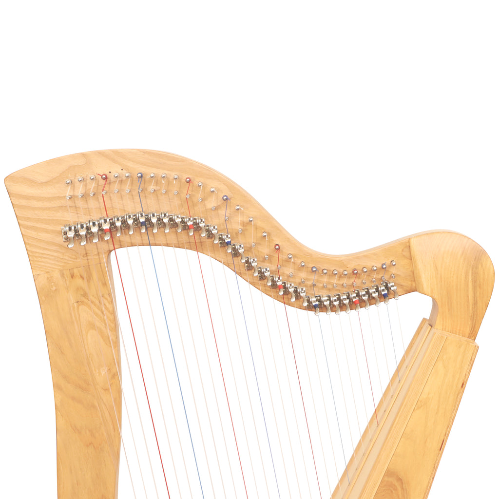 29 String McHugh Harp Square Back