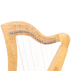 29 String McHugh Harp Square Back