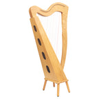 29 String McHugh Harp Square Back