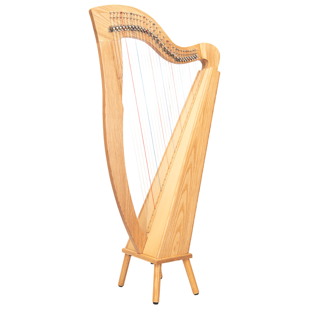 29 String McHugh Harp Square Back