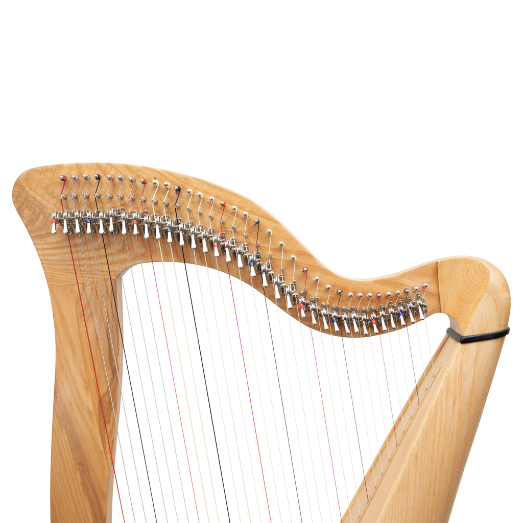 McHugh Harp 34 Strings Ashwood Round back