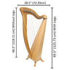 McHugh Harp 34 Strings Ashwood Round back