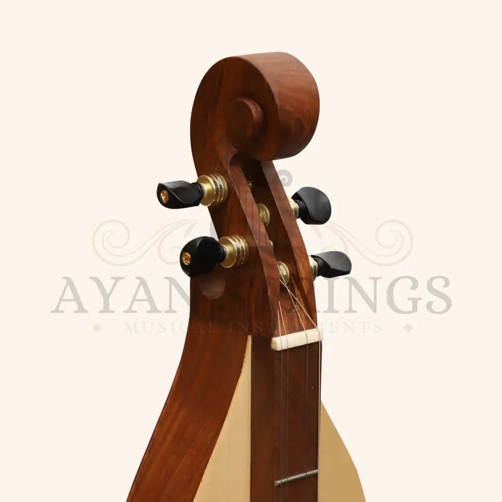 Mountain Dulcimer 4 String Cutaway Dulcimer F-Hole Rosewood - Stringed Instruments