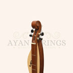 Mountain Dulcimer 4 String F-Hole Rosewood - Stringed Instruments