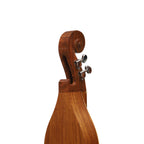 Mountain Dulcimer 4 String  F-Hole Rosewood With Nickel Finish Hardware