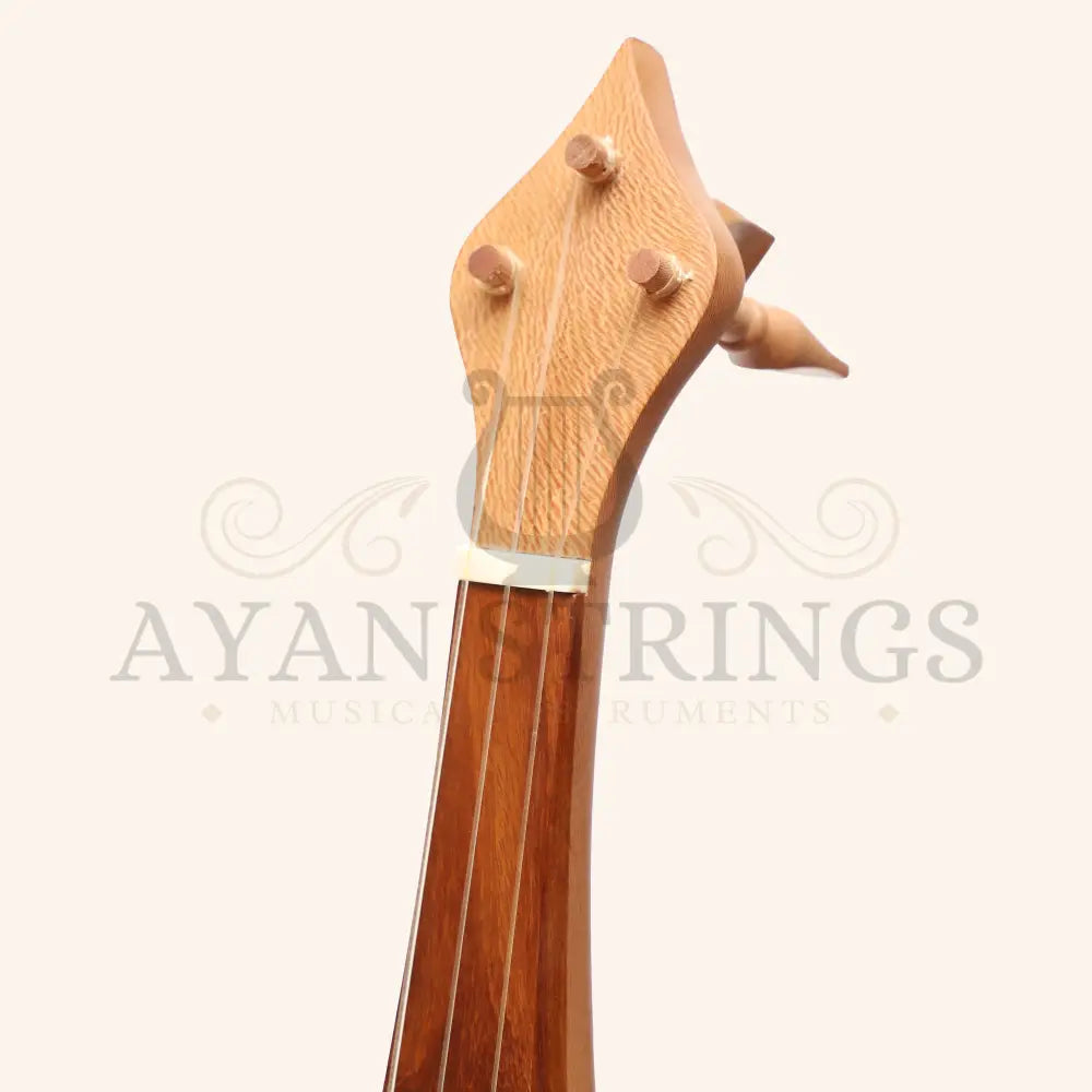Muzikkon Alto Rebec 3 String Lacewood - Stringed Instruments