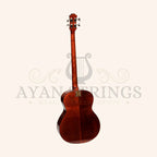 Muzikkon Electro Acoustic Jumbo Bass Guitar 4 String - Stringed Instruments