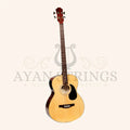Muzikkon Electro Acoustic Jumbo Bass Guitar 4 String - Stringed Instruments