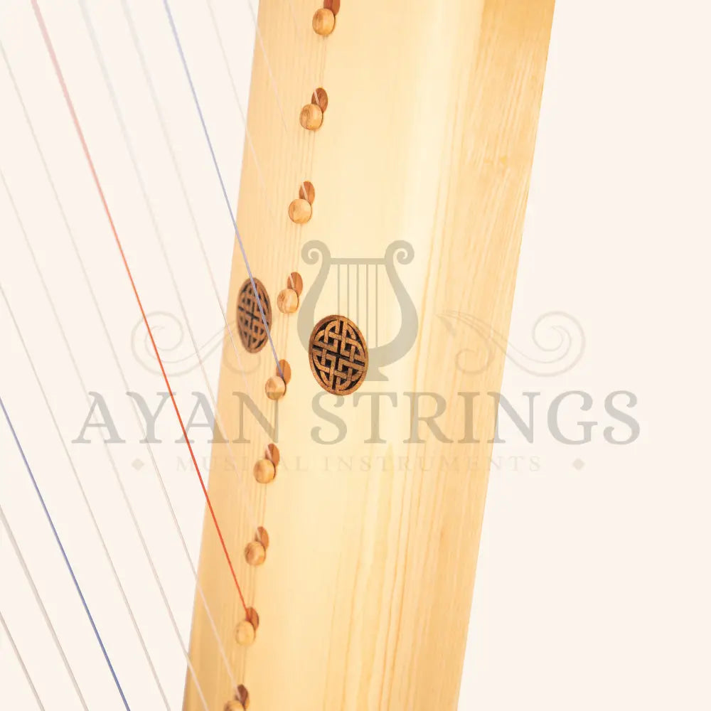Muzikkon Gothic Harp 19 String Ashwood - Stringed Instruments