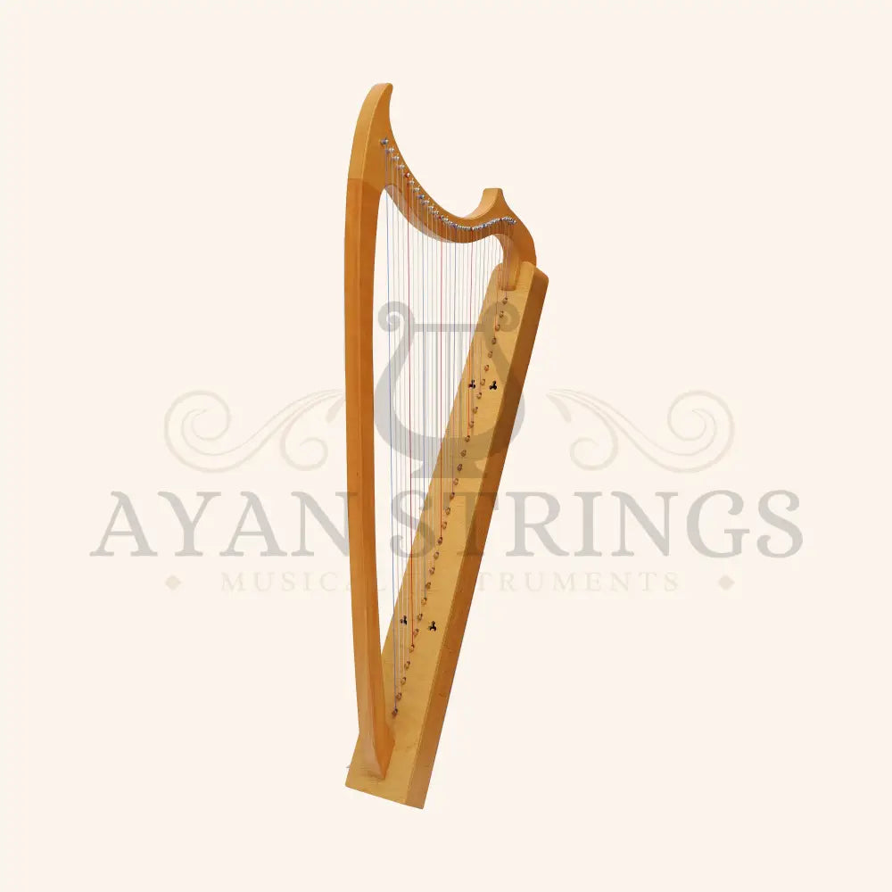 Muzikkon Gothic Harp 19 String Beechwood - Stringed Instruments