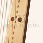 Muzikkon Gothic Harp 19 String Mahogany - Stringed Instruments
