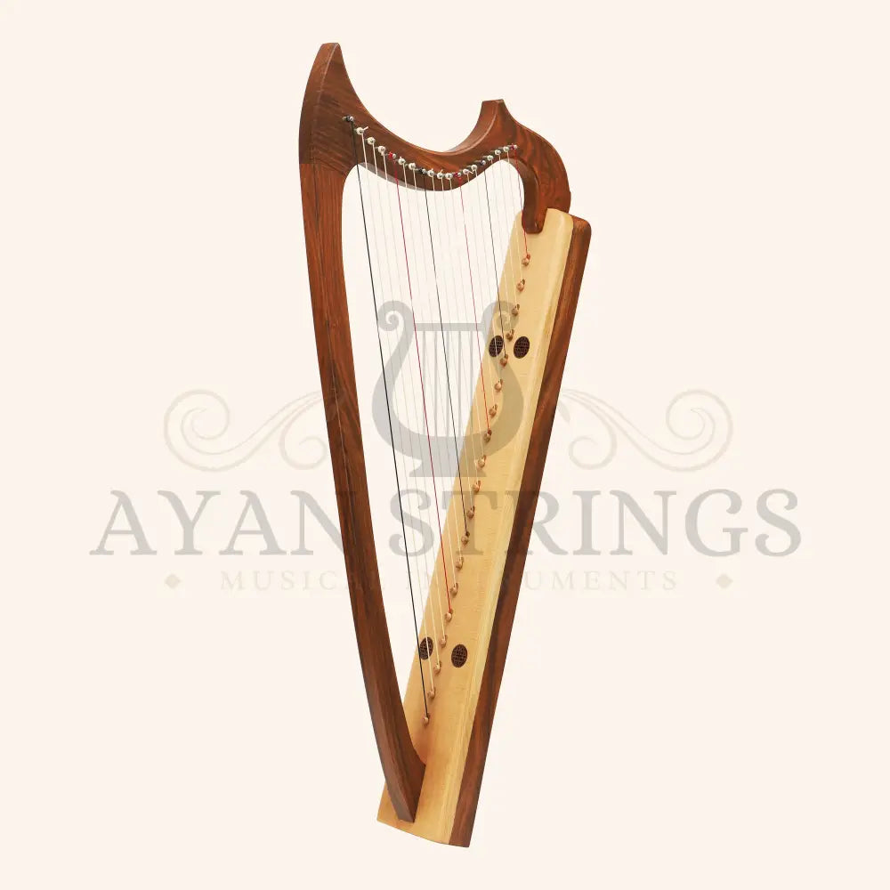Muzikkon Gothic Harp 19 String Rosewood - Stringed Instruments