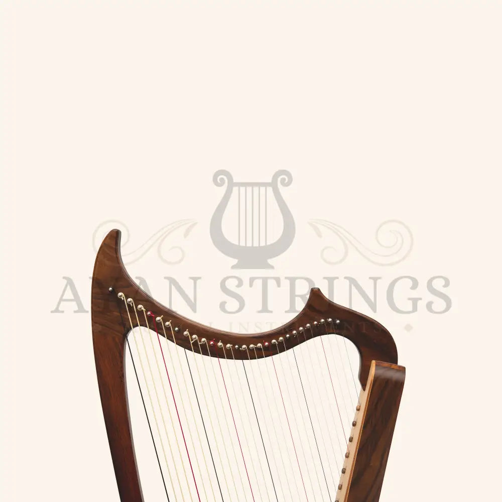 Muzikkon Gothic Harp 29 String Rosewood - Stringed Instruments