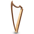 29 String Gothic Harp
