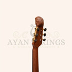 Muzikkon Lute Guitar 6 Steel Strings Variegated Lacewood Rosewood Left Handed - Stringed Instruments