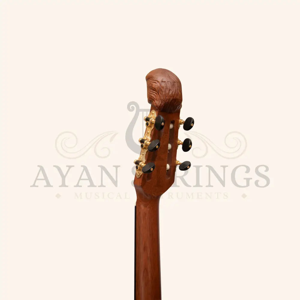 Muzikkon Lute Guitar 6 Steel Strings Variegated Lacewood Rosewood Left Handed - Stringed Instruments