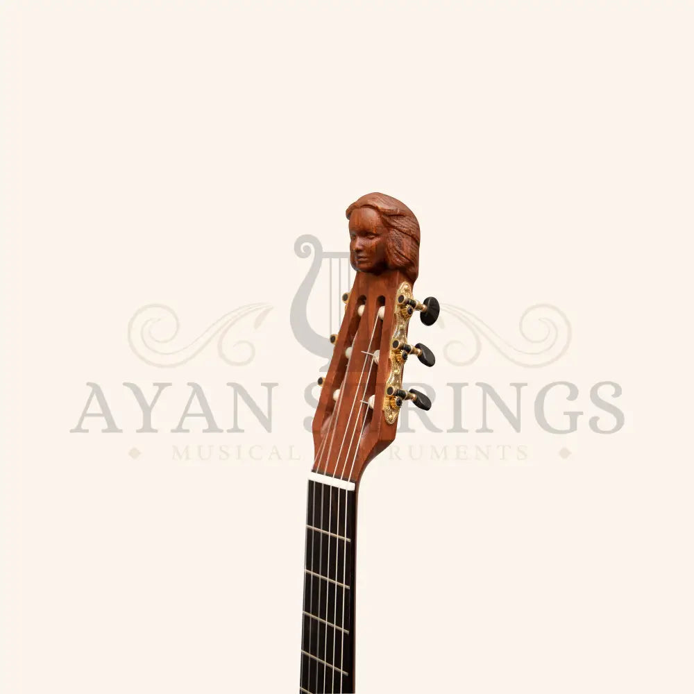 Muzikkon Lute Guitar 6 Steel Strings Variegated Lacewood Rosewood Left Handed - Stringed Instruments