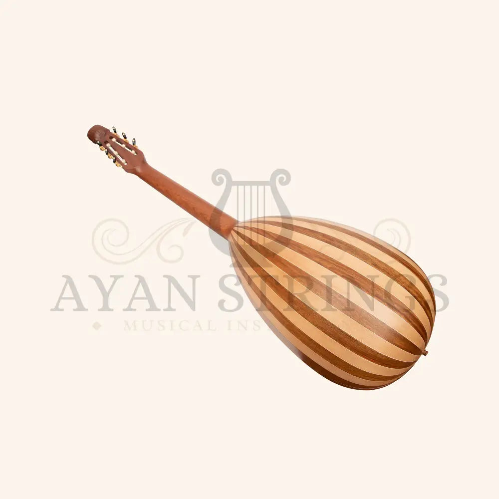 Muzikkon Lute Guitar 6 Steel Strings Variegated Lacewood Rosewood Left Handed - Stringed Instruments