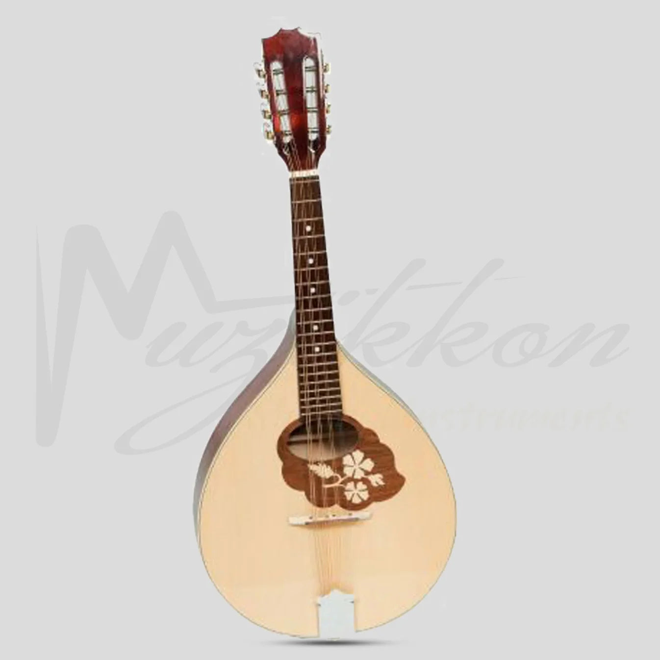 Mandola de muzică