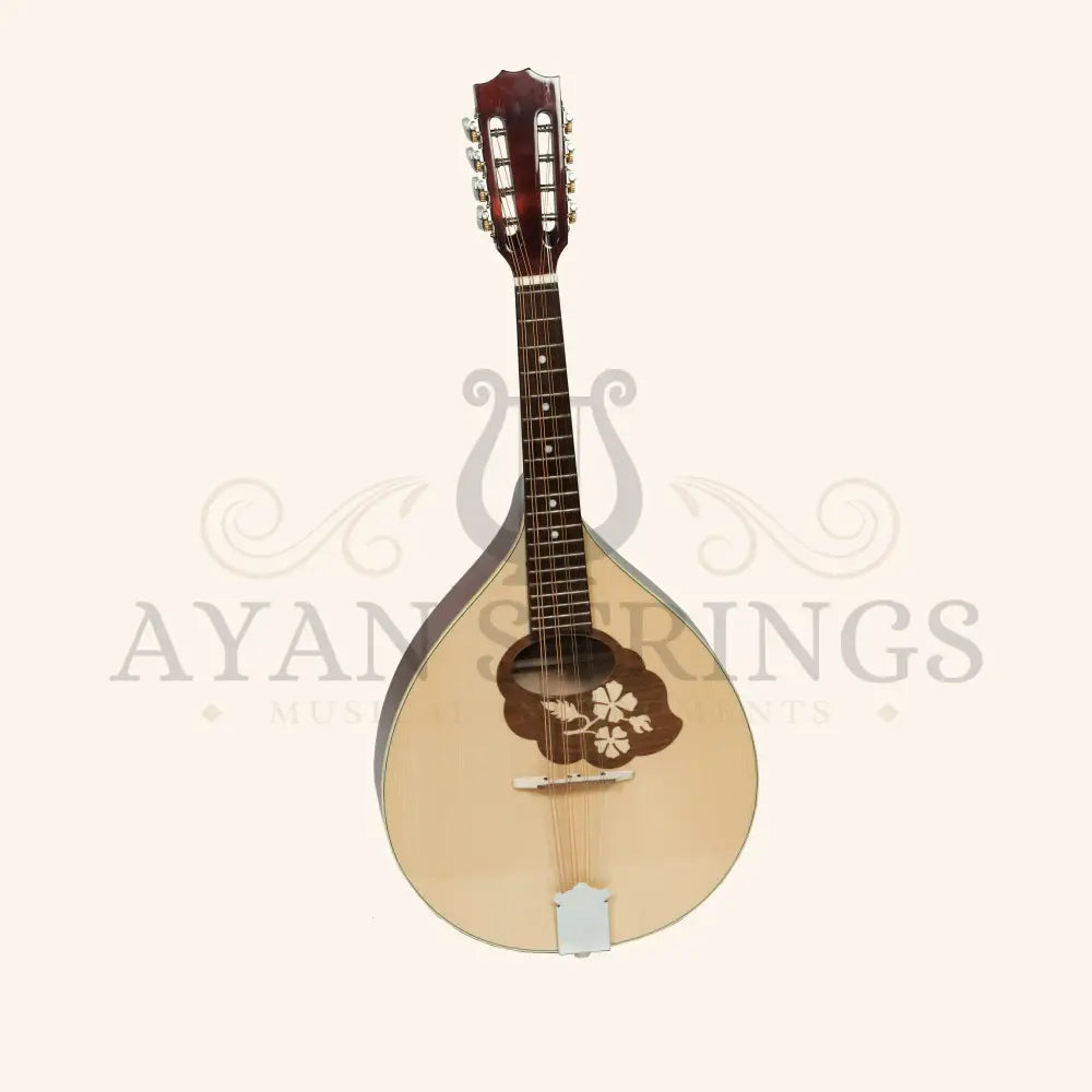 Muzikkon Mandola - Stringed Instruments
