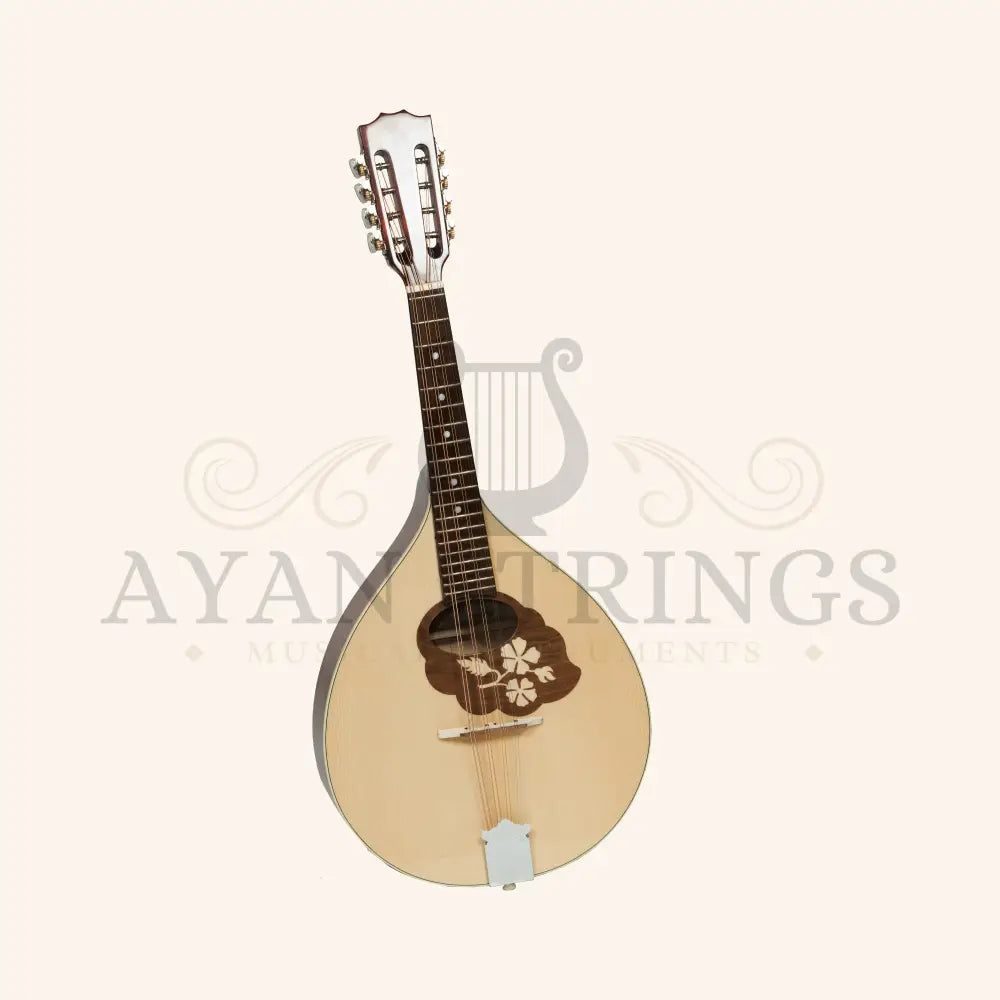 Muzikkon Mandola - Stringed Instruments