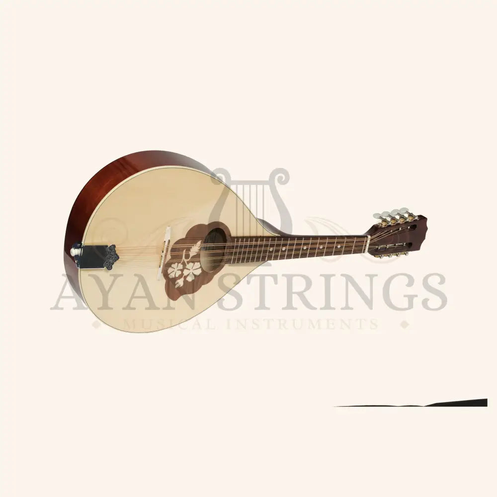 Muzikkon Mandola - Stringed Instruments