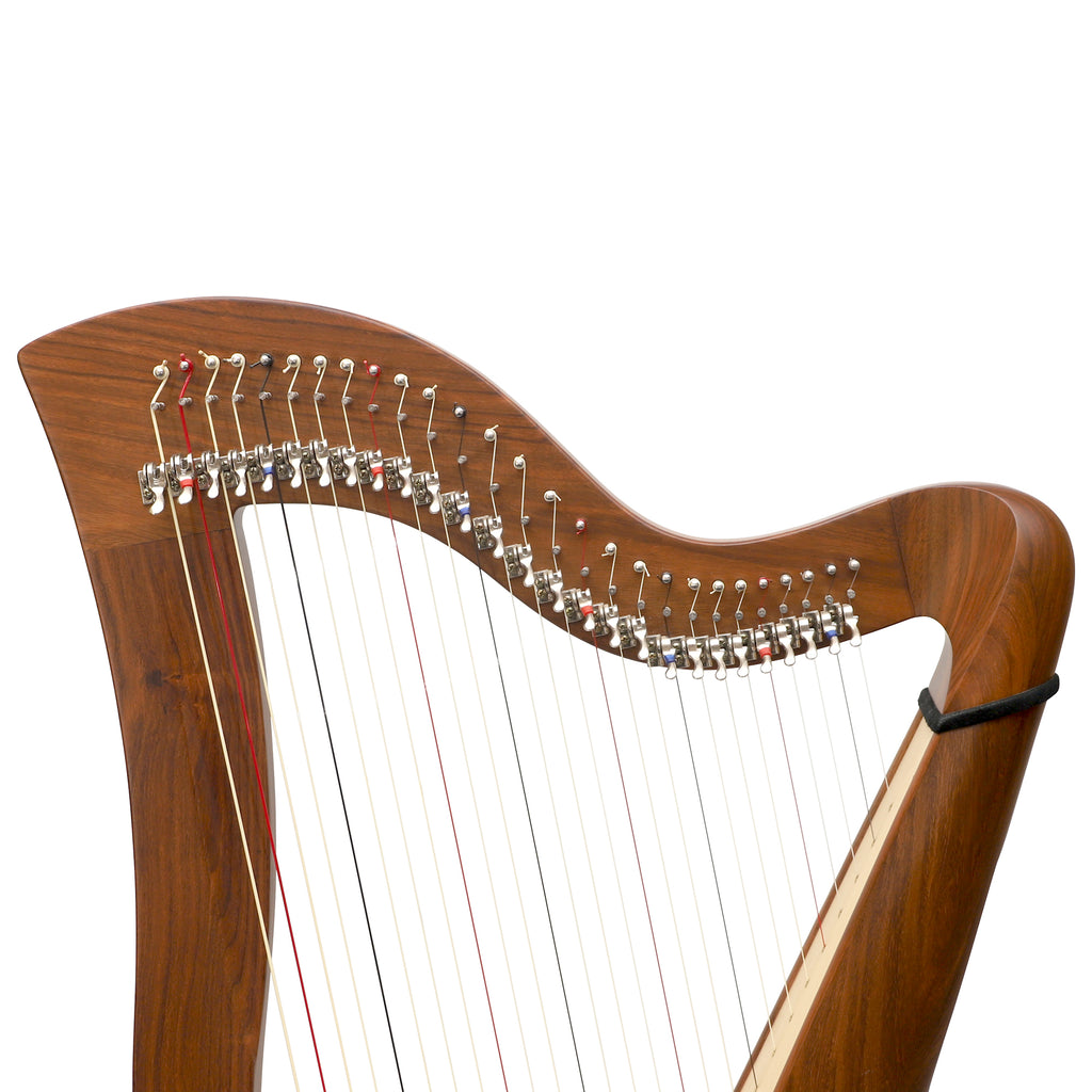 27 String McHugh Harp Round Back