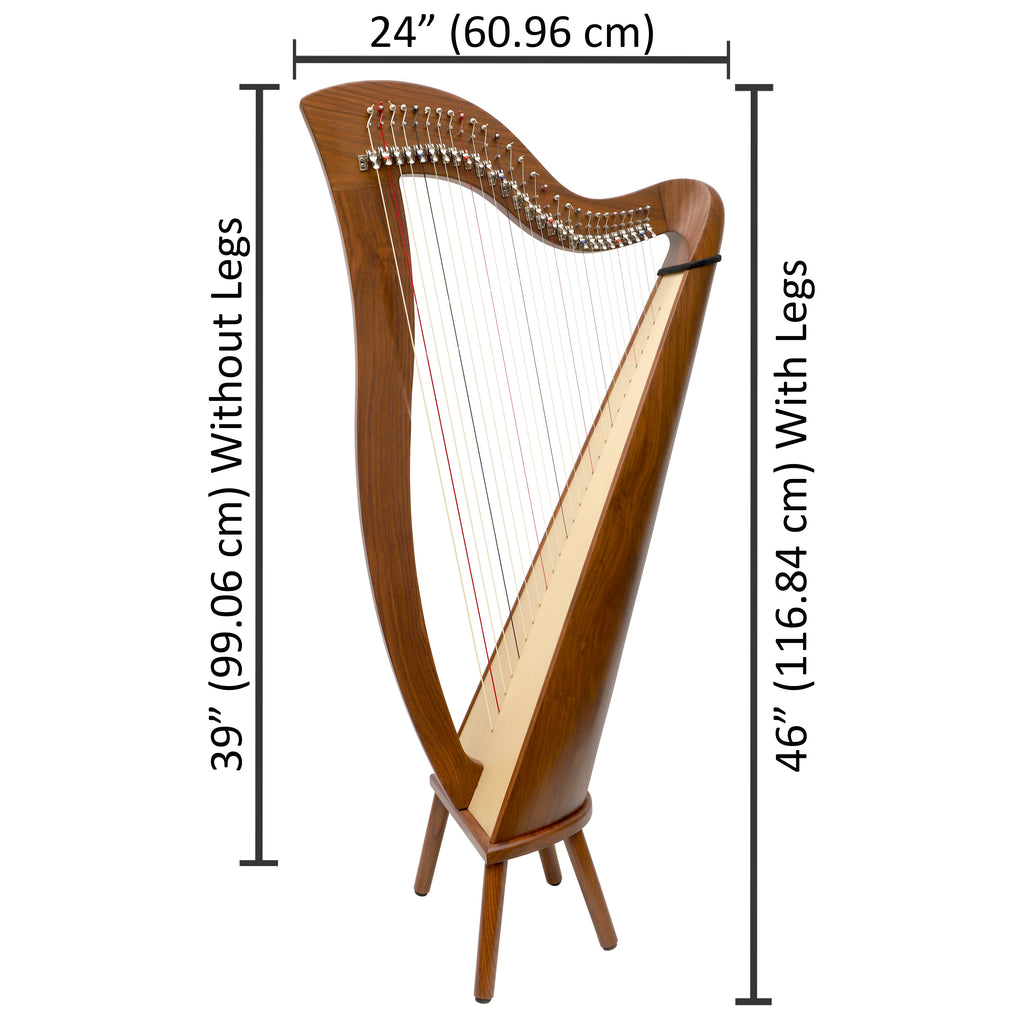 27 String McHugh Harp Round Back