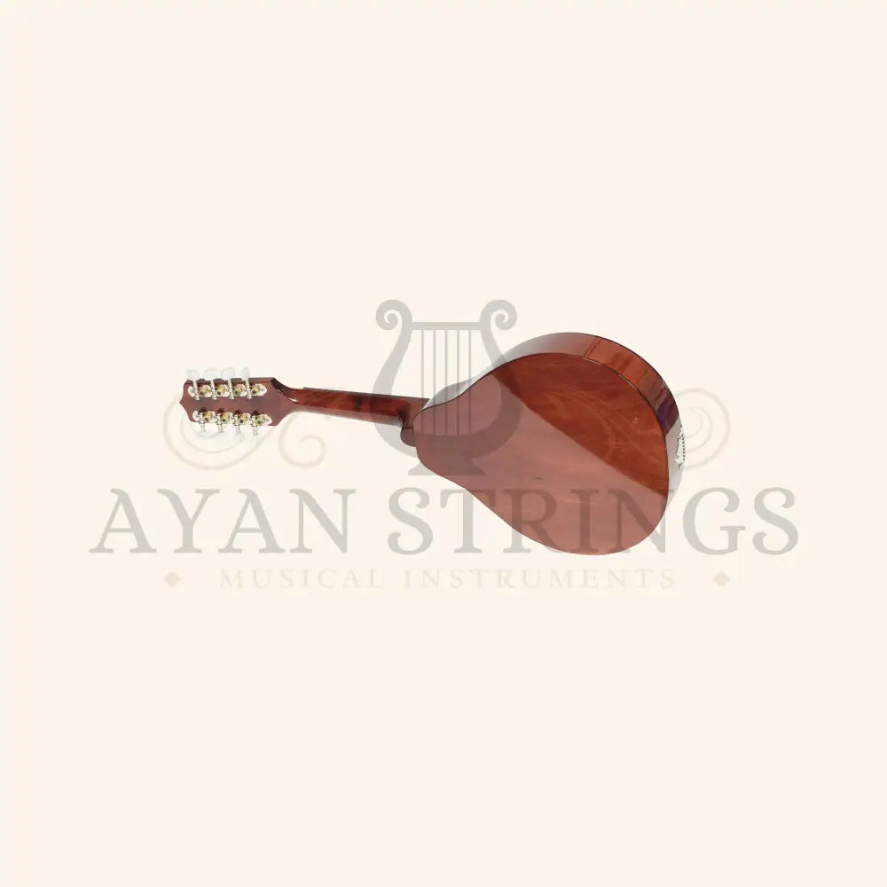 Muzikkon Modern Mandolin - Stringed Instruments