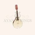 Muzikkon Modern Mandolin - Stringed Instruments