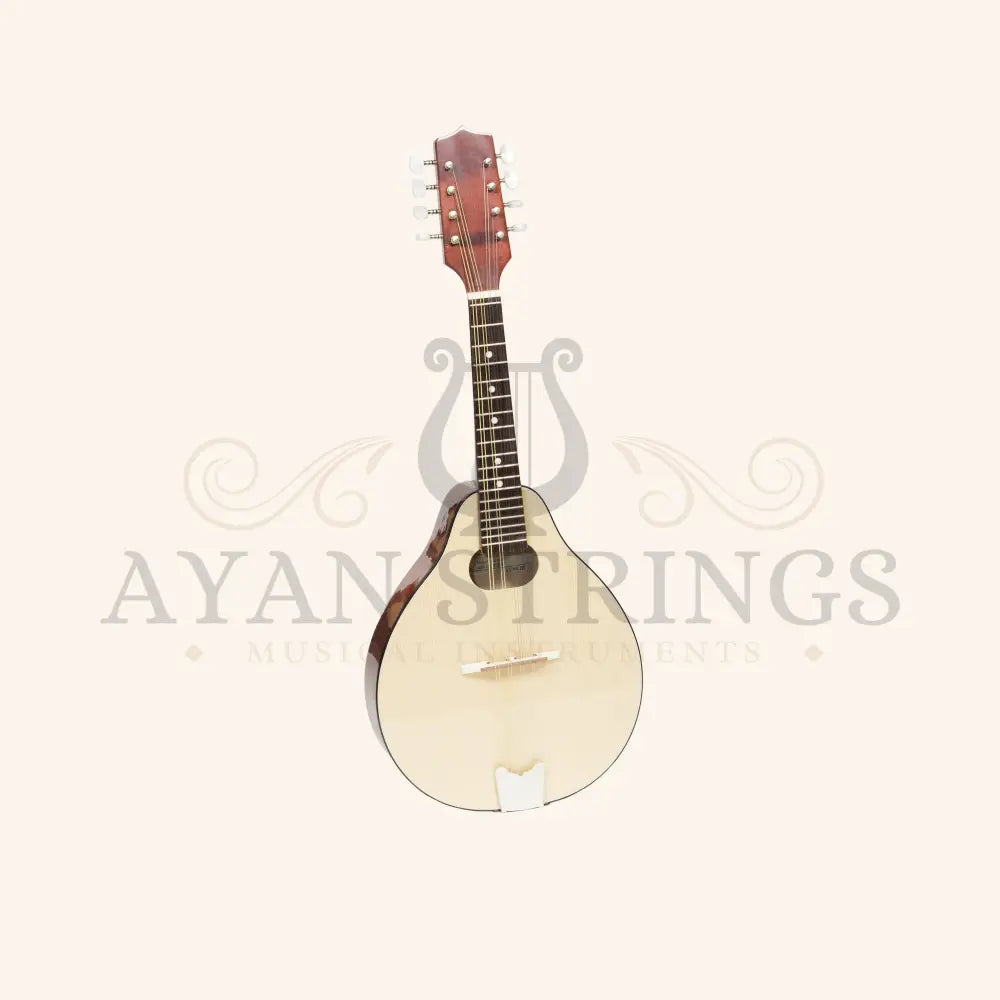 Muzikkon Modern Mandolin - Stringed Instruments