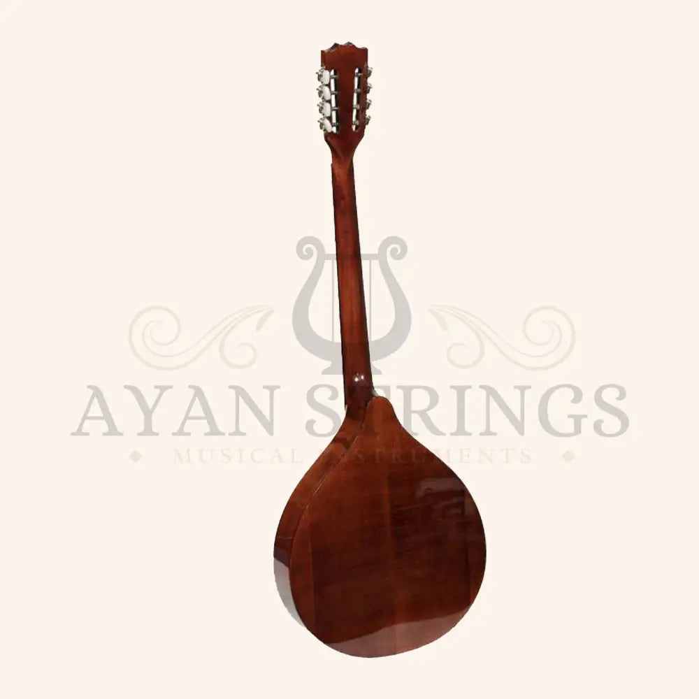 Muzikkon Octave mandolin - Stringed Instruments
