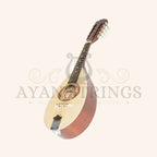 Muzikkon Portuguese Mandolin II - Stringed Instruments