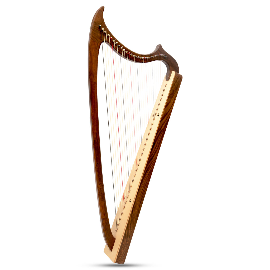 29 String Gothic Harp