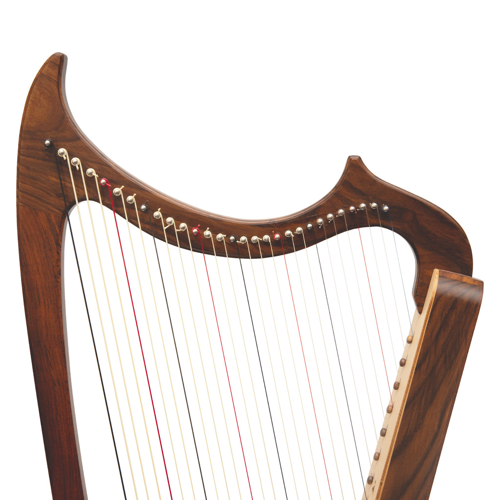 29 String Gothic Harp