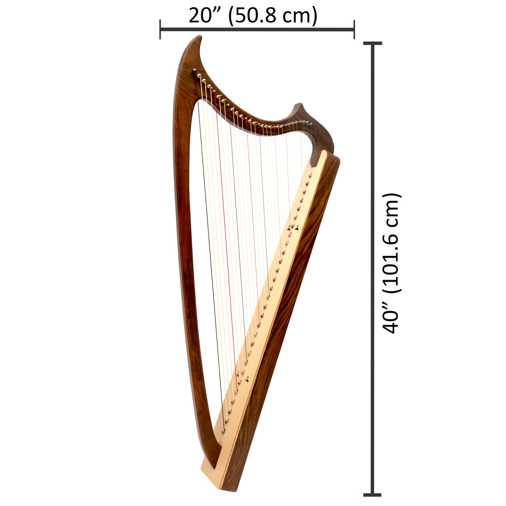 29 String Gothic Harp