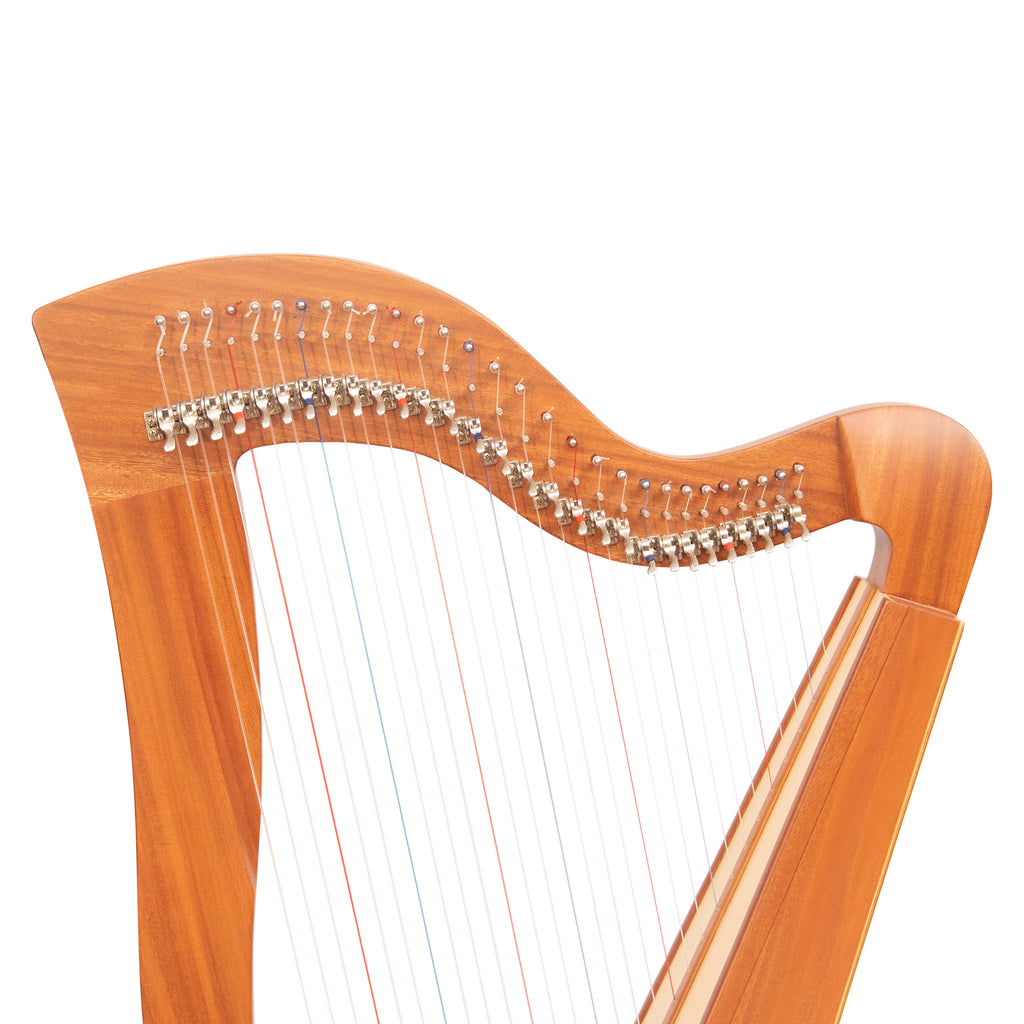 29 String McHugh Harp Square Back