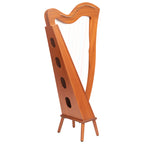 29 String McHugh Harp Square Back