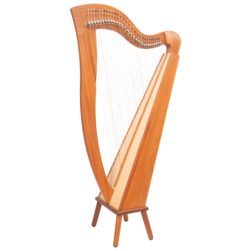 29 String McHugh Harp Square Back