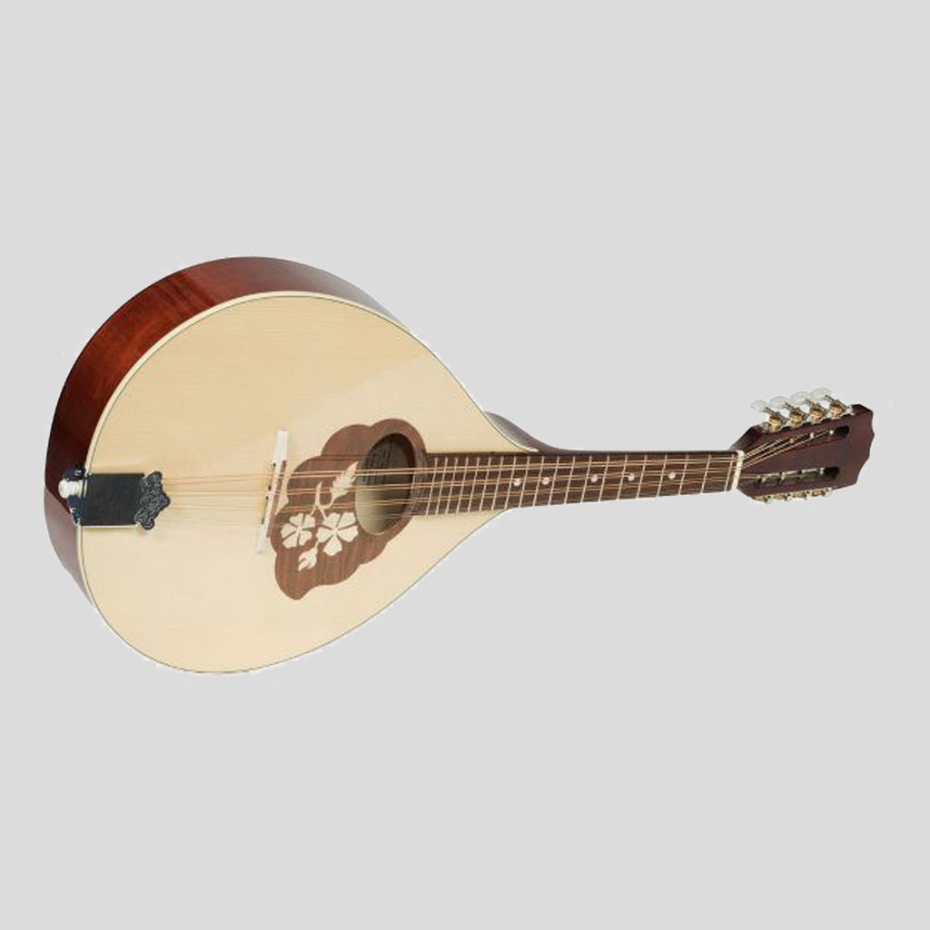 Mandola de muzică