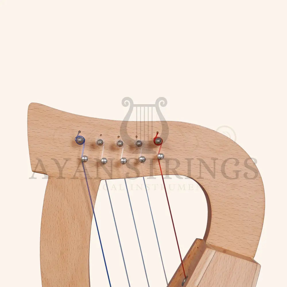 O’Carolan 5 String Beech Wood Plain - Stringed Instruments