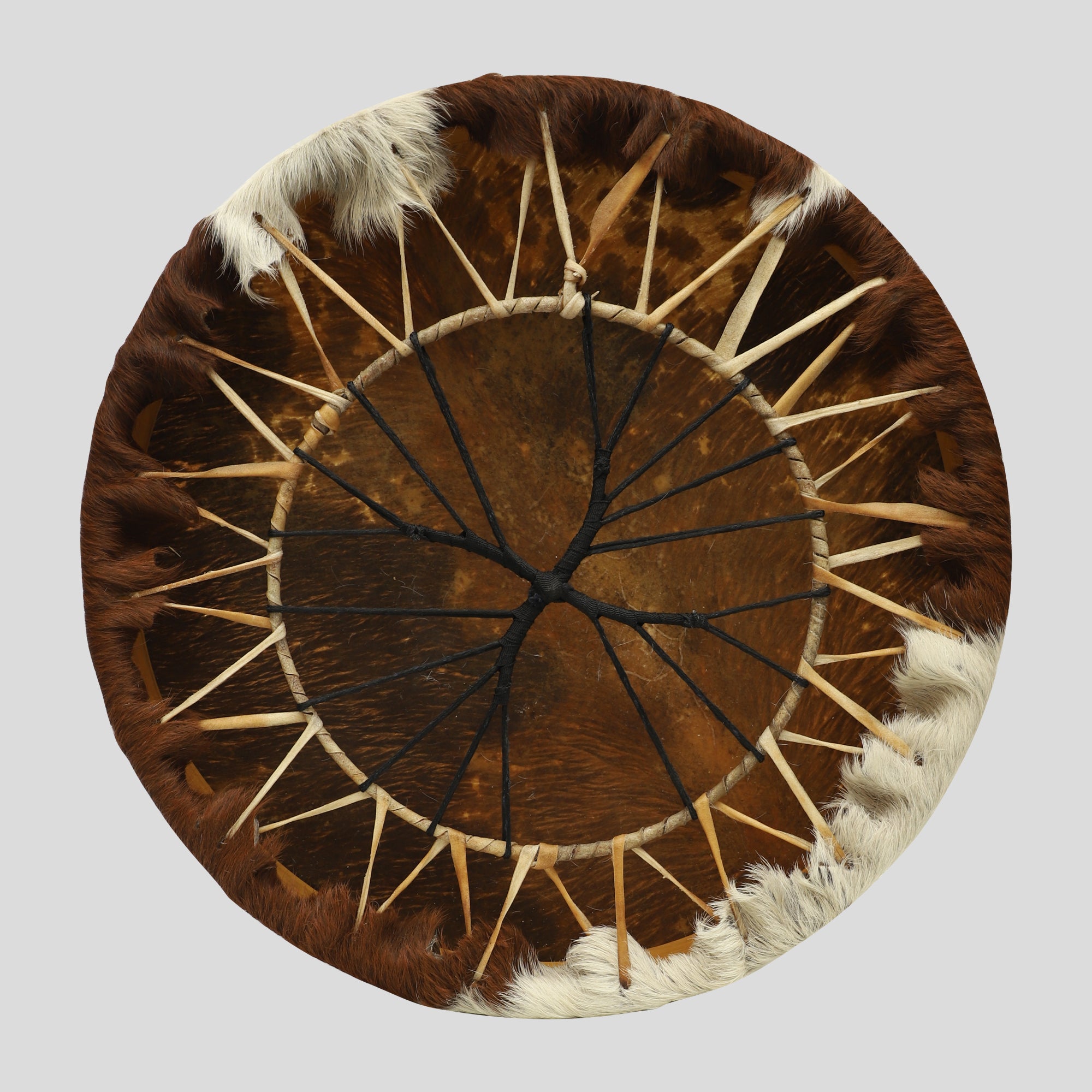 Shamanic Drums 16" (40.5 cm) Shawlan Shaman Drum Circle Tree Handmade with Cow Hide Skin
