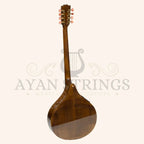 Traditional Electro Acoustic Irish Concert Bouzouki 8 Strings,Maple Body with Spruce Top - Stringed Instruments