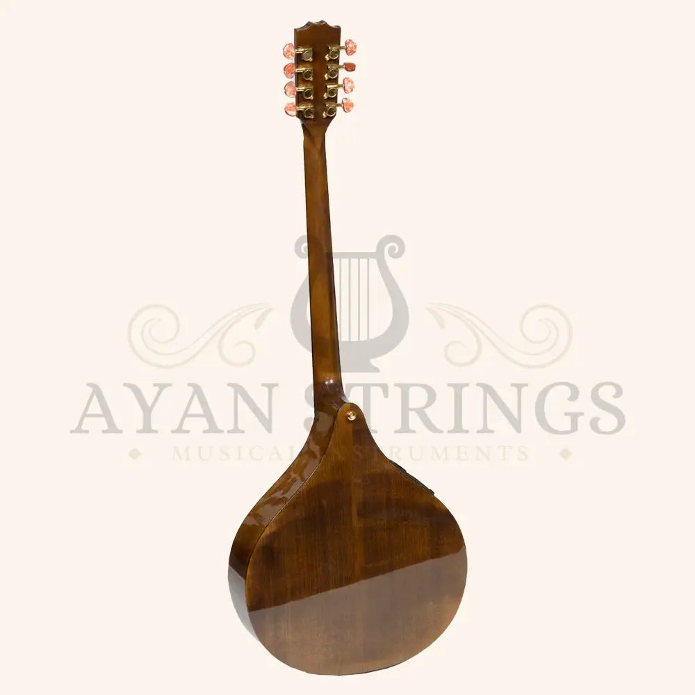 Traditional Electro Acoustic Irish Concert Bouzouki 8 Strings,Maple Body with Spruce Top - Stringed Instruments