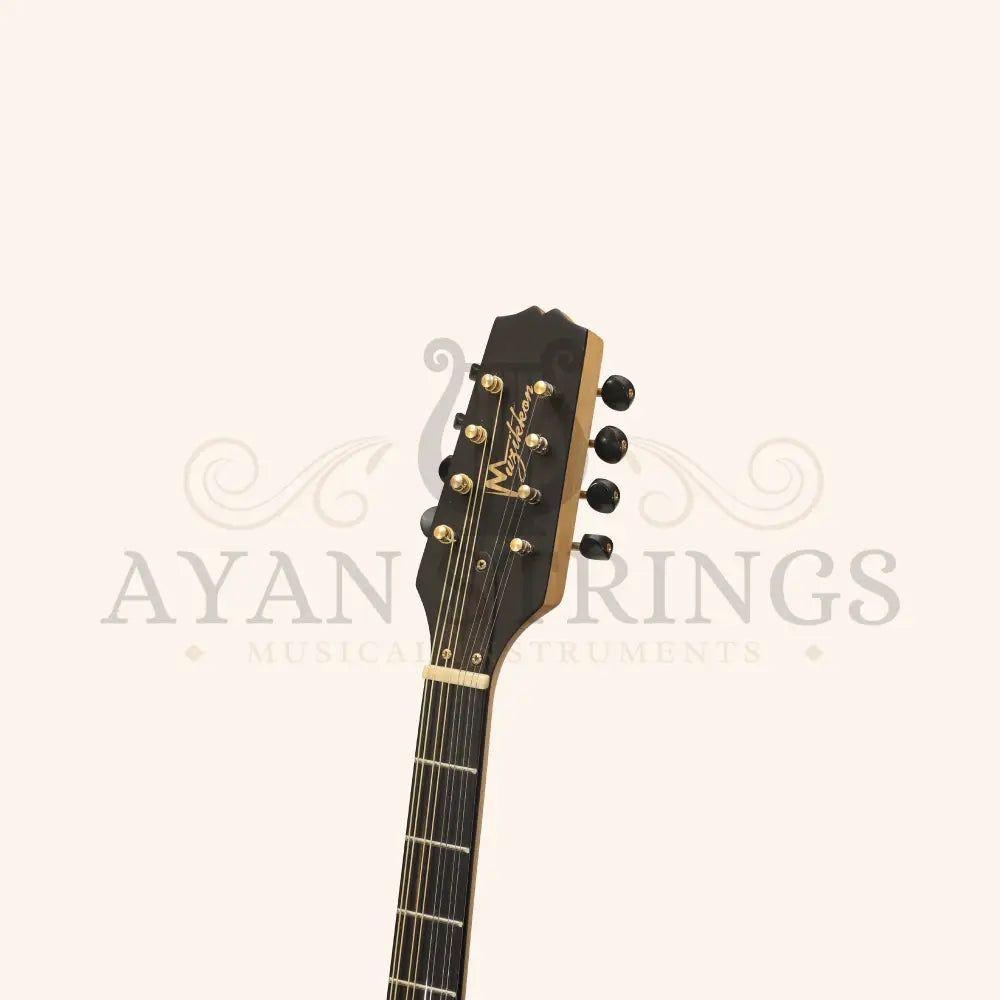 Traditional Irish Bouzouki 8 String - Stringed Instruments