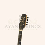 Traditional Irish Bouzouki 8 String - Stringed Instruments