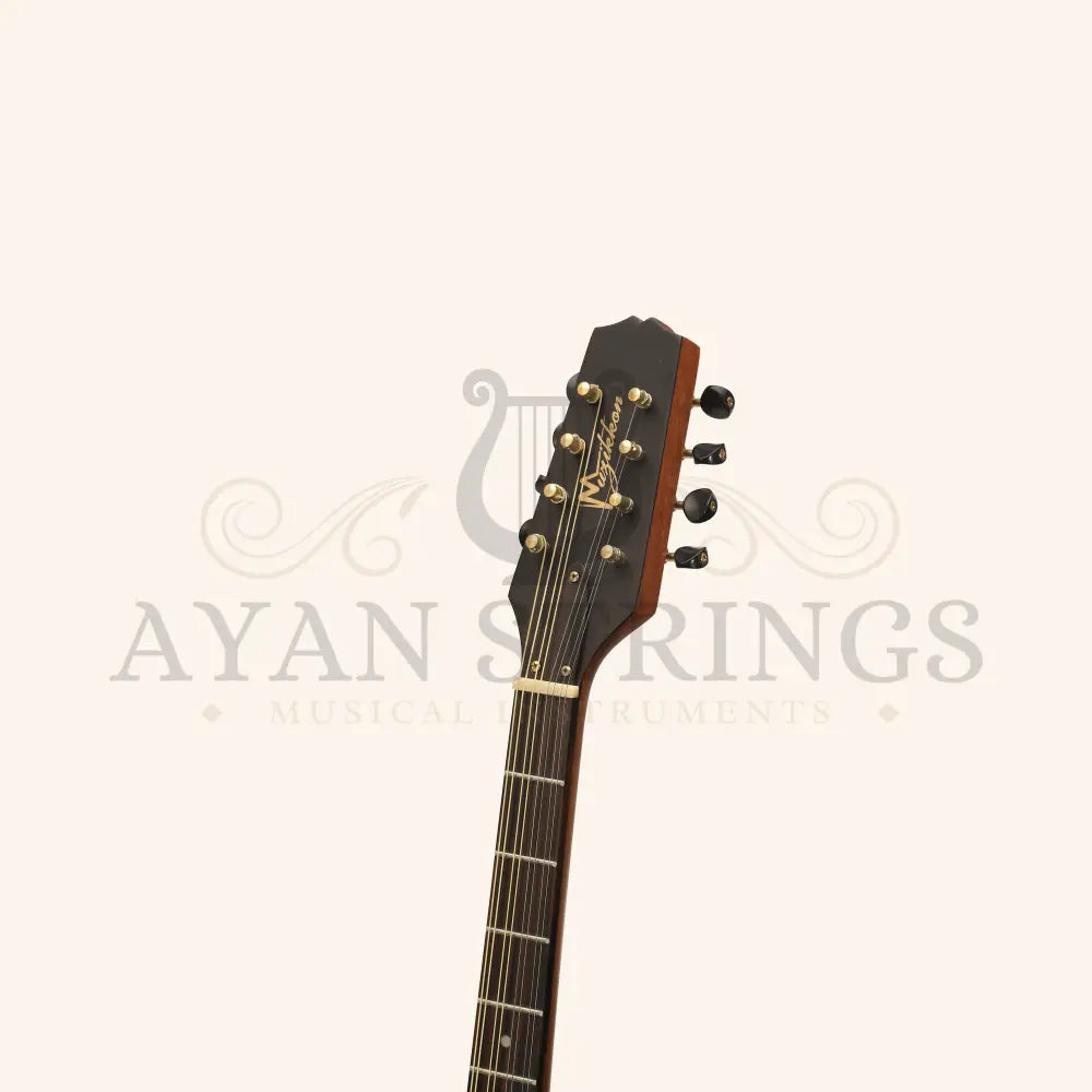 Traditional Irish Bouzouki 8 String - Stringed Instruments