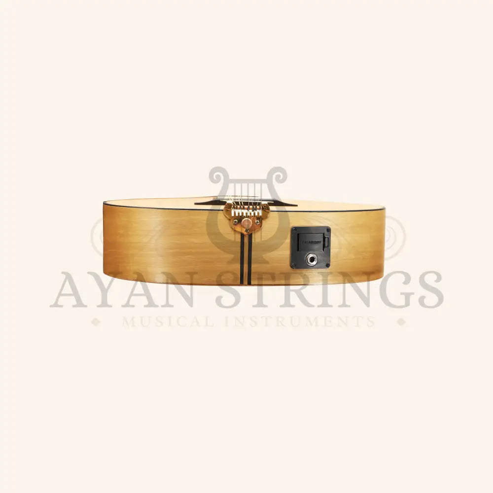 Traditional Irish Bouzouki 8 String With EQ - Stringed Instruments
