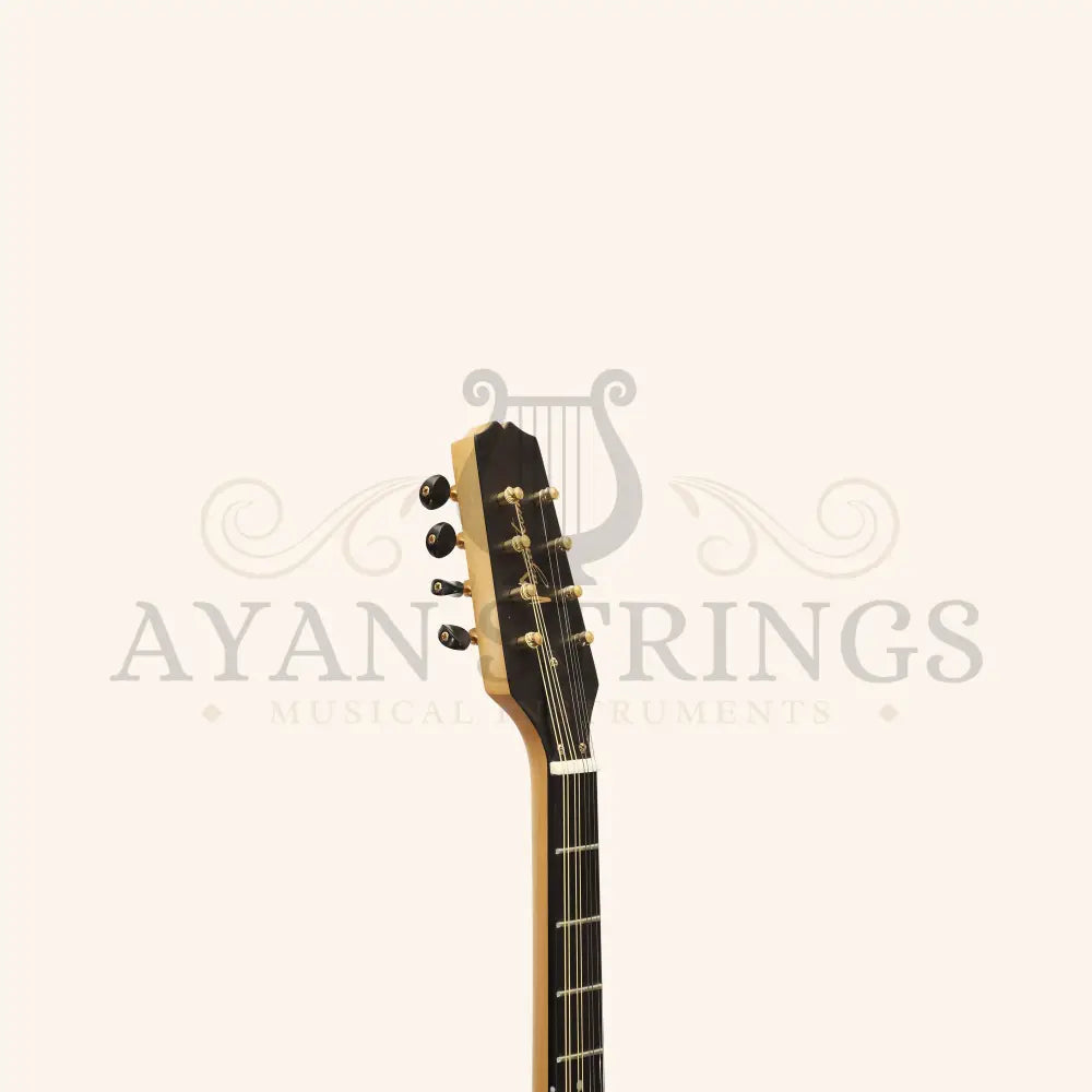 Traditional Irish Bouzouki 8 String With EQ - Stringed Instruments